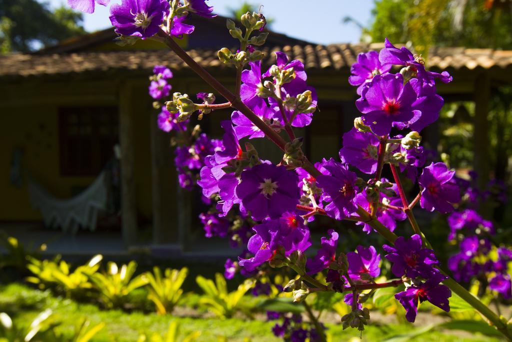 Pousada Casinhas Da Bahia Caraíva Exterior foto